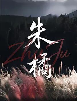 猫咪事务所